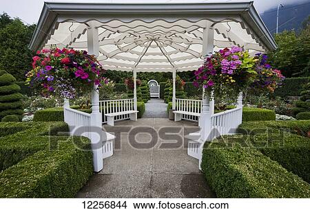 White gazebo with hanging flower baskets in Minter Gardens; Rosedale, British Columbia, Canada View Large Photo Image Picture - White gazebo with hanging flower baskets in Minter Gardens; Rosedale, British Columbia, Canada. Fotosearch