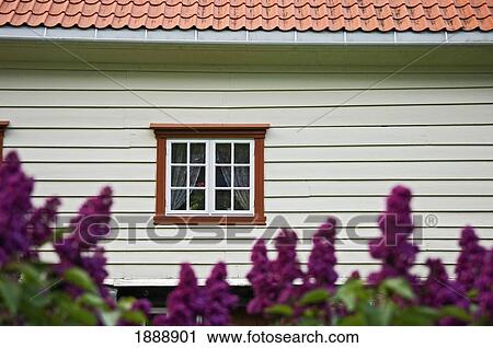 White House And Purple Flowers View Large Photo Image Stock Image - White House And Purple Flowers. Fotosearch