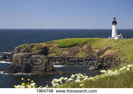 Stock Photo - White Lighthouse On The Ocean With Blue Sky And Wildflowers; Newport Oregon United States Of America. Fotosearch