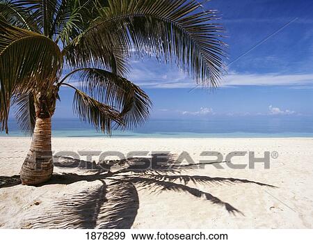 White Sand Beach At Playa Ancon View Large Photo Image Stock Photo - White Sand Beach At Playa Ancon. Fotosearch