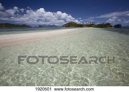 White Sand Beach; Snake Island, Palawan, Philippines View Large Photo Image Stock Image - White Sand Beach; Snake Island, Palawan, Philippines. Fotosearch