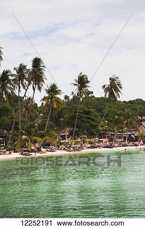 Stock Image - White sand on Had Rin beach; Ko Phangan, Thailand. Fotosearch