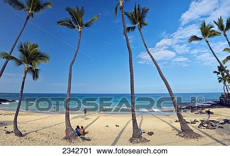 White Sands Beach park; Big Island, Hawaii, United States of America View Large Photo Image Stock Image - White Sands Beach park; Big Island, Hawaii, United States of America. Fotosearch