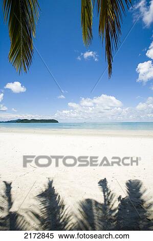 Stock Photography - White Sandy Beach With Palm Trees Looking Out To Blue Sea, Blue Skies And White Cloudspantai Cenang (Cenang Beach), Pulau Langkawi, &#10; Malaysia, South East Asia.. Fotosearch