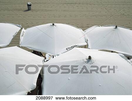 White Umbrellas On A Beach View Large Photo Image Stock Photo - White Umbrellas On A Beach. Fotosearch