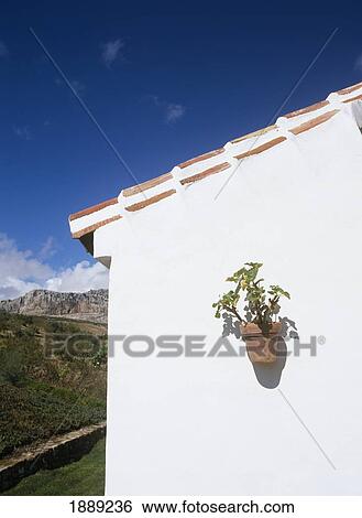 Whitewashed House With Potted Plant Hanging Outside, Close Up View Large Photo Image Stock Photograph - Whitewashed House With Potted Plant Hanging Outside, Close Up. Fotosearch