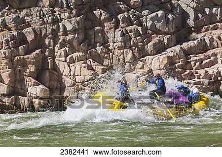 Stock Image - Whitewater rafting on the Colorado river in the Grand Canyon National Park; Arizona, United States of America. Fotosearch