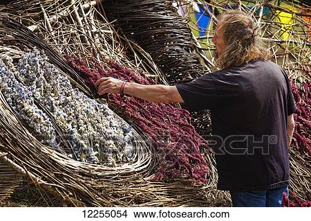 Wickerwork at music festival; Dorset, England View Large Photo Image Picture - Wickerwork at music festival; Dorset, England. Fotosearch