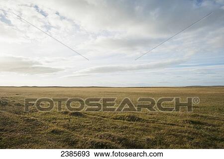 Stock Image - Wide open space in a field of grass; Punta Arenas, Magallanes, Chile. Fotosearch