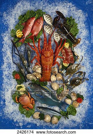Wide variety of seafood laid out on ice View Large Photo Image Picture - Wide variety of seafood laid out on ice. Fotosearch