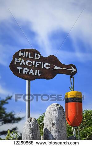 Wild Pacific Trail signpost, Vancouver Island, near Ucluelet; British Columbia, Canada View Large Photo Image Stock Photo - Wild Pacific Trail signpost, Vancouver Island, near Ucluelet; British Columbia, Canada. Fotosearch