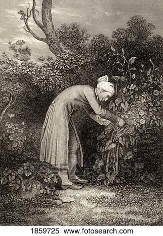 Stock Photography - William Cowper, 1731-1800 Cowper In His Garden. Enlgish Poet. 19Th Century Print From An Original Drawing By G. H. Smith.. Fotosearch