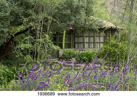 Stock Photo - Willka Tik'a Guesthouse; Peru. Fotosearch
