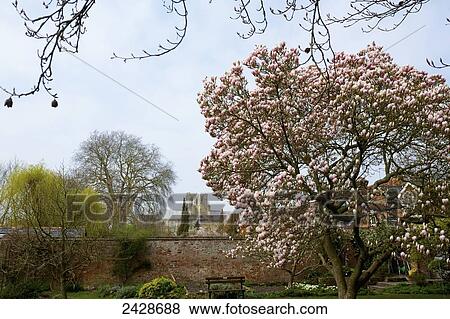 Stock Photo - Winchester Cathedral; Winchester, Hampshire, England. Fotosearch