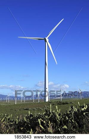 Stock Image - Wind Turbine, Zahara De Los Atunes, Cadiz, Spain. Fotosearch
