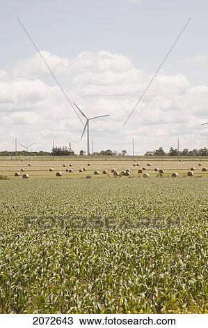 Stock Image - Wind Turbines And Field With Hay Bales, Near Shelburne, Ontario. Fotosearch