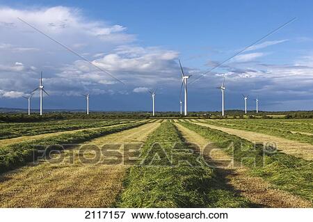 Stock Photo - Wind Turbines; Kilmore Quay County Wexford Ireland. Fotosearch