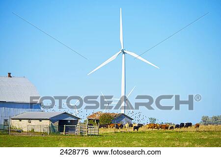 Stock Photograph - Wind turbines on a farm; Wolfe Island, Ontario, Canada. Fotosearch