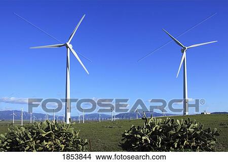 Picture - Wind Turbines, Zahara De Los Atunes, Spain. Fotosearch