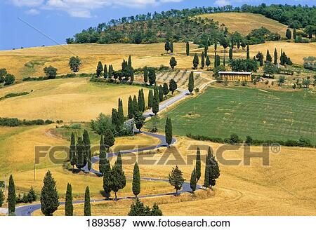 Stock Photo - Winding Road Through Countryside. Fotosearch