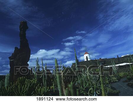 Picture - Windmill And Plants. Fotosearch