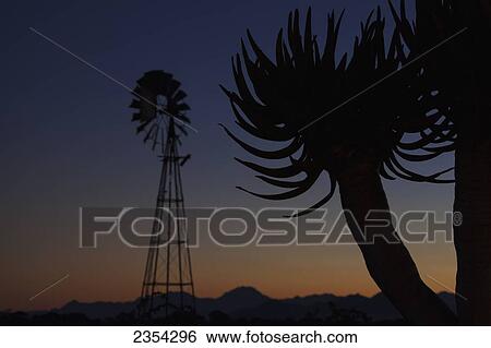 Stock Photograph - Windmill And Quiver Tree (Aloe Dichotoma) At Sunset; Namibia. Fotosearch