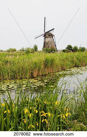 Windmill, Built Around 1740 Along Nieuwe Waterschap To Drain The Excess Water From The Alblasserwaard Polders, Kinderdijk, Netherlands View Large Photo Image Stock Image - Windmill, Built Around 1740 Along Nieuwe Waterschap To Drain The Excess Water From The Alblasserwaard Polders, Kinderdijk, Netherlands. Fotosearch