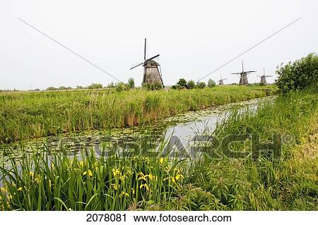 Windmills, Built Around 1740 Along Nieuwe Waterschap To Drain The Excess Water From The Alblasserwaard Polders, Kinderdijk, Netherlands View Large Photo Image Stock Image - Windmills, Built Around 1740 Along Nieuwe Waterschap To Drain The Excess Water From The Alblasserwaard Polders, Kinderdijk, Netherlands. Fotosearch