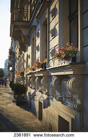 Stock Image - Window sill detail with flowers; Krakow, Poland. Fotosearch