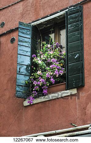 Window with large flower pot; Venice, Italy View Large Photo Image Stock Photo - Window with large flower pot; Venice, Italy. Fotosearch