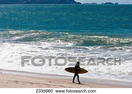 Windsurfer Carrying Windsurfing Board; New Zealand View Large Photo Image Stock Image - Windsurfer Carrying Windsurfing Board; New Zealand. Fotosearch