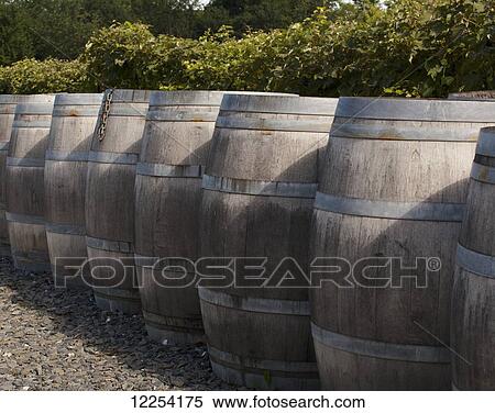 Wine barrels; Dunham, Quebec, Canada View Large Photo Image Stock Photography - Wine barrels; Dunham, Quebec, Canada. Fotosearch