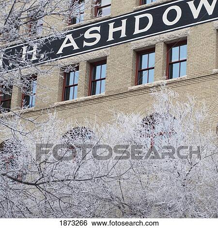 Stock Photograph - Winnipeg, Manitoba, Canada; Frost On The Trees In Front Of A Brick Building In Winter. Fotosearch