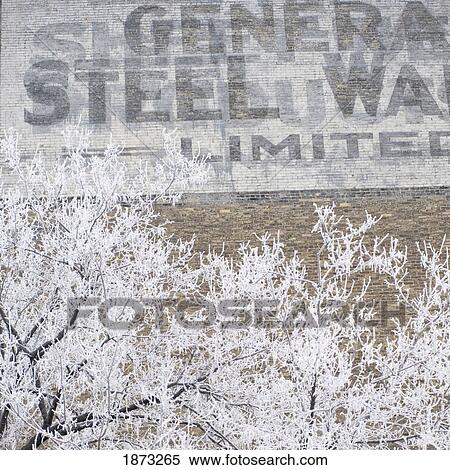 Winnipeg, Manitoba, Canada; Frosty Trees In Front Of A Building With A Painted Steel Company Sign View Large Photo Image Stock Photography - Winnipeg, Manitoba, Canada; Frosty Trees In Front Of A Building With A Painted Steel Company Sign. Fotosearch