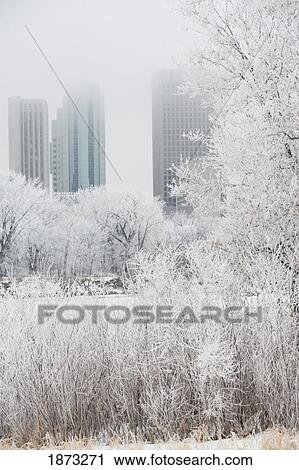 Winnipeg, Manitoba, Canada; High Rise Buildings In The Winter View Large Photo Image Stock Image - Winnipeg, Manitoba, Canada; High Rise Buildings In The Winter. Fotosearch