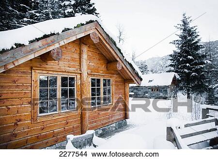 Winter alpine scenery with mountains, snow and a pine forest with Brekke rental cabins; Ortnevik, Sognefjord, Norway View Large Photo Image Picture - Winter alpine scenery with mountains, snow and a pine forest with Brekke rental cabins; Ortnevik, Sognefjord, Norway. Fotosearch