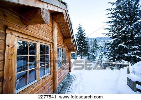 Winter alpine scenery with mountains, snow and a pine forest with Brekke rental cabins; Ortnevik, Sognefjord, Norway View Large Photo Image Stock Image - Winter alpine scenery with mountains, snow and a pine forest with Brekke rental cabins; Ortnevik, Sognefjord, Norway. Fotosearch