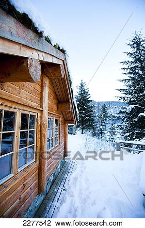 Winter Alpine Scenery With Mountains Snow And A Pine Forest With