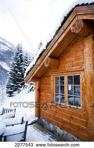 Winter alpine scenery with mountains, snow and a pine forest with Brekke rental cabins; Ortnevik, Sognefjord, Norway View Large Photo Image Stock Image - Winter alpine scenery with mountains, snow and a pine forest with Brekke rental cabins; Ortnevik, Sognefjord, Norway. Fotosearch
