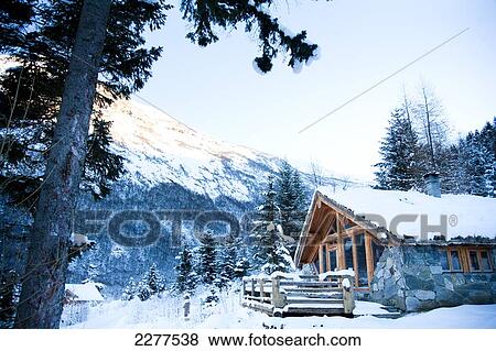 Winter Alpine Scenery With Mountains Snow And A Pine Forest With