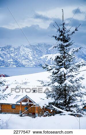 Winter alpine scenery with mountains, snow and a pine forest with Brekke rental cabins; Ortnevik, Sognefjord, Norway View Large Photo Image Stock Photo - Winter alpine scenery with mountains, snow and a pine forest with Brekke rental cabins; Ortnevik, Sognefjord, Norway. Fotosearch