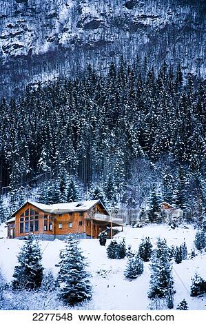 Winter alpine scenery with mountains, snow and a pine forest with Brekke rental cabins; Ortnevik, Sognefjord, Norway View Large Photo Image Stock Photo - Winter alpine scenery with mountains, snow and a pine forest with Brekke rental cabins; Ortnevik, Sognefjord, Norway. Fotosearch