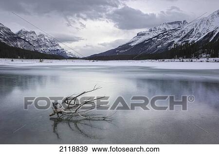 Winter In The Canadian Rockies In The Graveyard Flats On The Icefields Parkway In Banff National Park; Banff Alberta Canada View Large Photo Image Stock Photo - Winter In The Canadian Rockies In The Graveyard Flats On The Icefields Parkway In Banff National Park; Banff Alberta Canada. Fotosearch