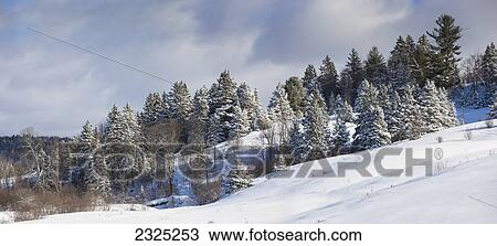 Stock Image - Winter Landscape In Gatineau Hills; Ontario, Canada. Fotosearch
