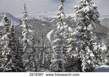 Winter Scene At Sunshine Ski Resort In The Canadian Rockies, Banff, Alberta, Canada View Large Photo Image Stock Photo - Winter Scene At Sunshine Ski Resort In The Canadian Rockies, Banff, Alberta, Canada. Fotosearch