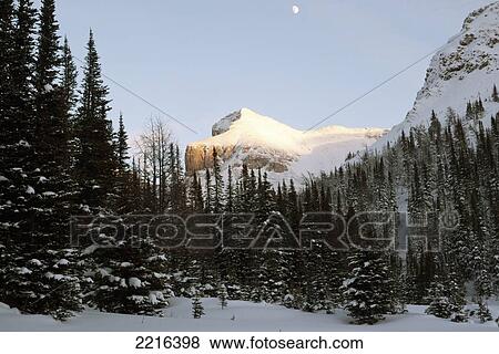 Stock Photo - Winter Scene At Sunshine Ski Resort In The Canadian Rockies, Banff, Alberta, Canada. Fotosearch