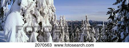 Stock Image - Winter Scenic, Grouse Mtn, Vancouver, Bc. Fotosearch