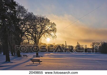 Winter Sunrise, Assiniboine Park, Winnipeg, Manitoba View Large Photo Image Stock Photography - Winter Sunrise, Assiniboine Park, Winnipeg, Manitoba. Fotosearch