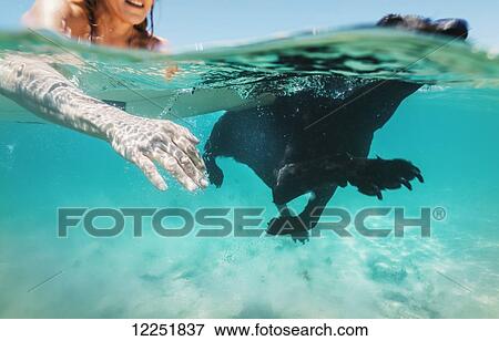 Woman and her pet labrador swimming together; Bolonia, Tarifa, Costa de la Luz, Andalusia, Spain View Large Photo Image Stock Photo - Woman and her pet labrador swimming together; Bolonia, Tarifa, Costa de la Luz, Andalusia, Spain. Fotosearch