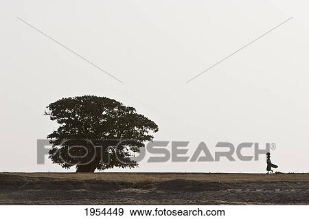 Woman and tree along the shores of the Niger River between Mopti and Lake Debo, Mali View Large Photo Image Stock Photo - Woman and tree along the shores of the Niger River between Mopti and Lake Debo, Mali. Fotosearch